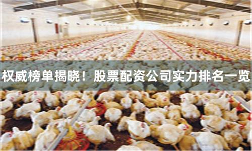 权威榜单揭晓!股票配资公司实力排名一览