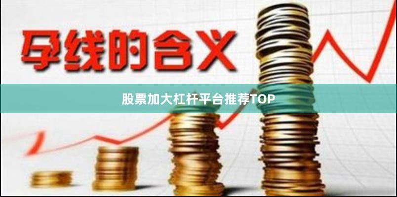 股票加大杠杆平台推荐TOP