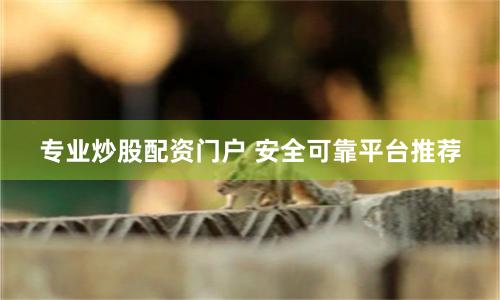 专业炒股配资门户 安全可靠平台推荐