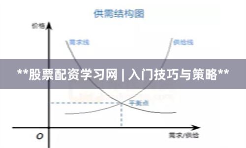 **股票配资学习网 | 入门技巧与策略**