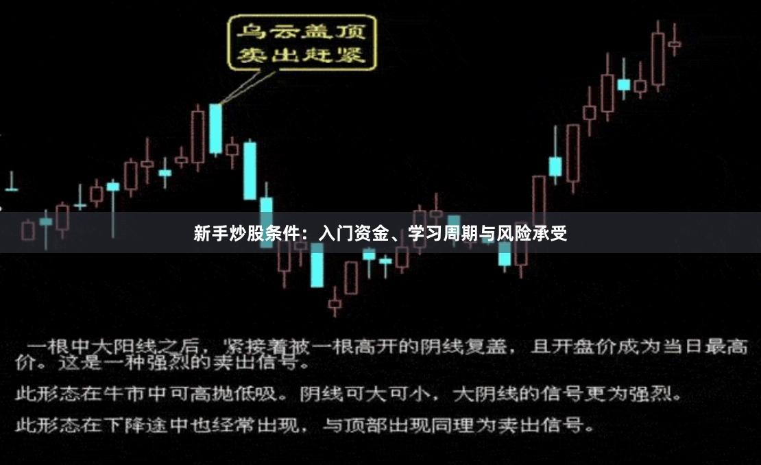 新手炒股条件：入门资金、学习周期与风险承受