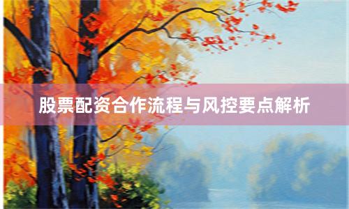 股票配资合作流程与风控要点解析